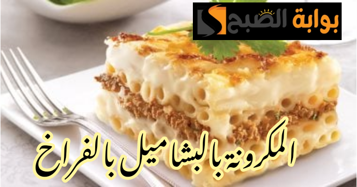 IMG 20240222 072650
