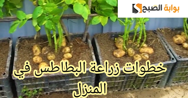 IMG 20240227 071818