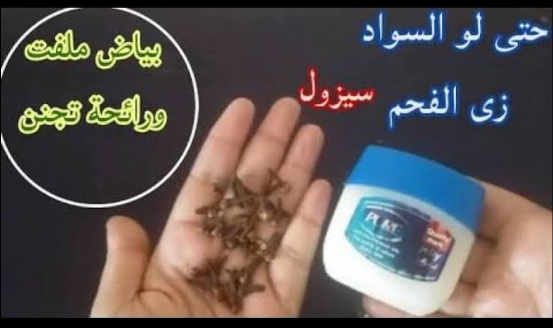 IMG ٢٠٢٣٠٩٠٥ ٠٥٢٨١٩ 1