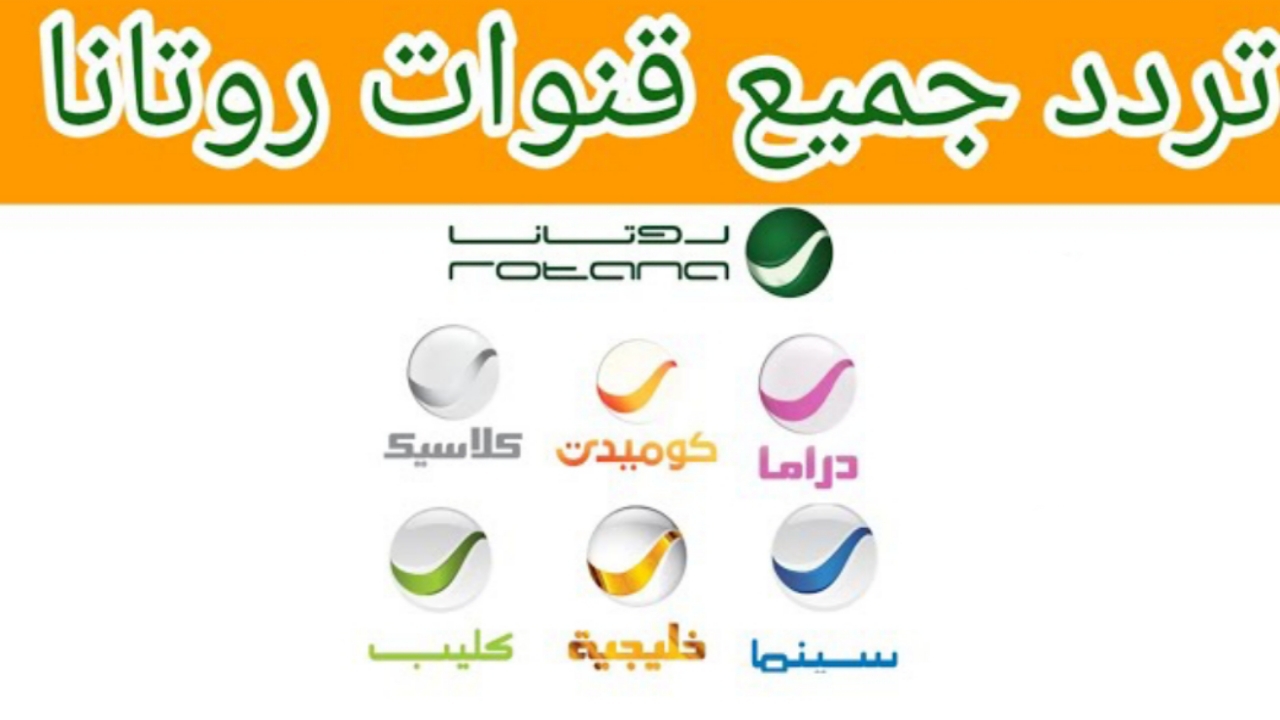 IMG ٢٠٢٣١٢٢٤ ١٢٢٣١٥