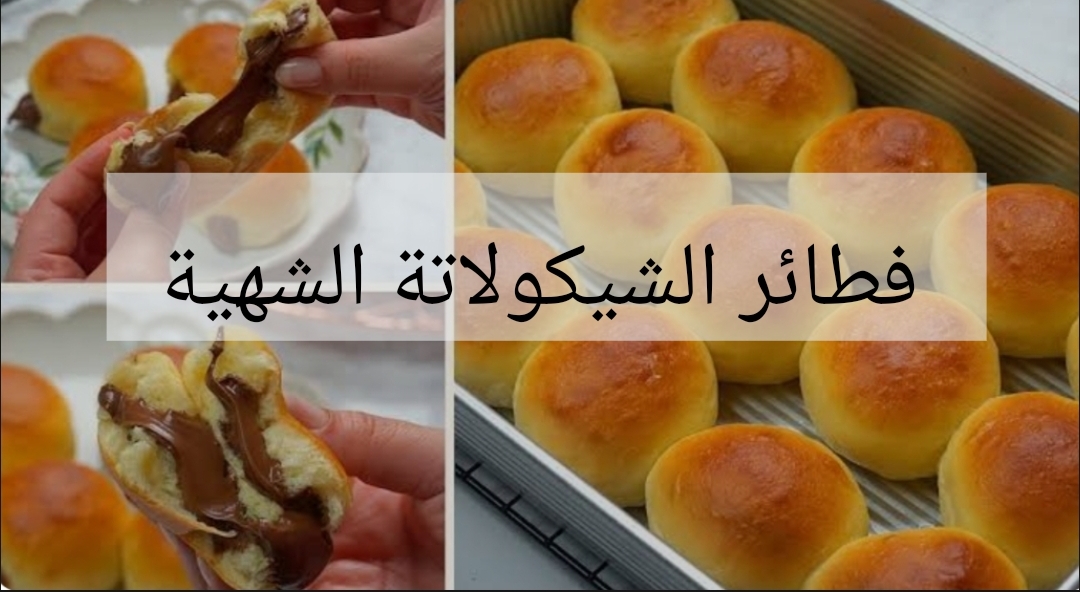 IMG ٢٠٢٤٠٢٠٢ ٠٠١٩١١ 1