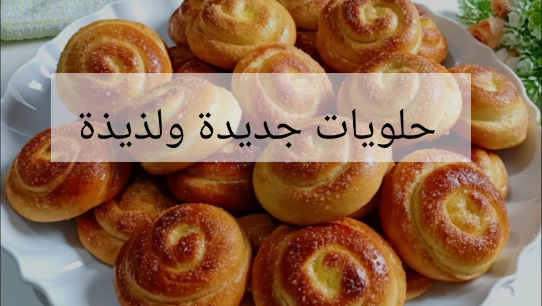 IMG ٢٠٢٤٠٢٠٣ ٠٠١٣٢٩