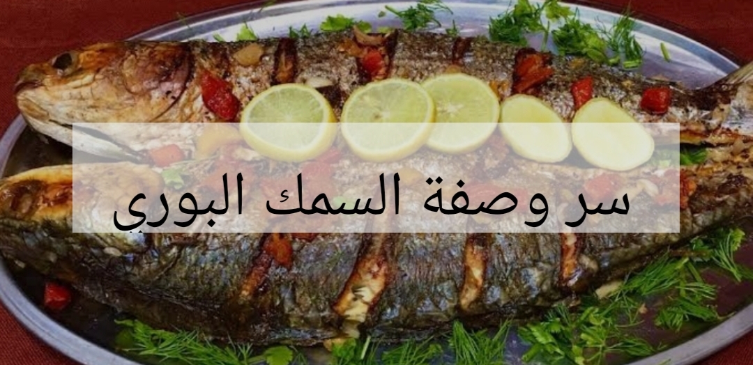 IMG ٢٠٢٤٠٢٠٣ ٠٠١٤٠٢