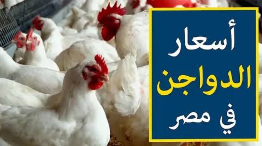 IMG ٢٠٢٤٠٢٠٣ ٠٩٤٦٢٢