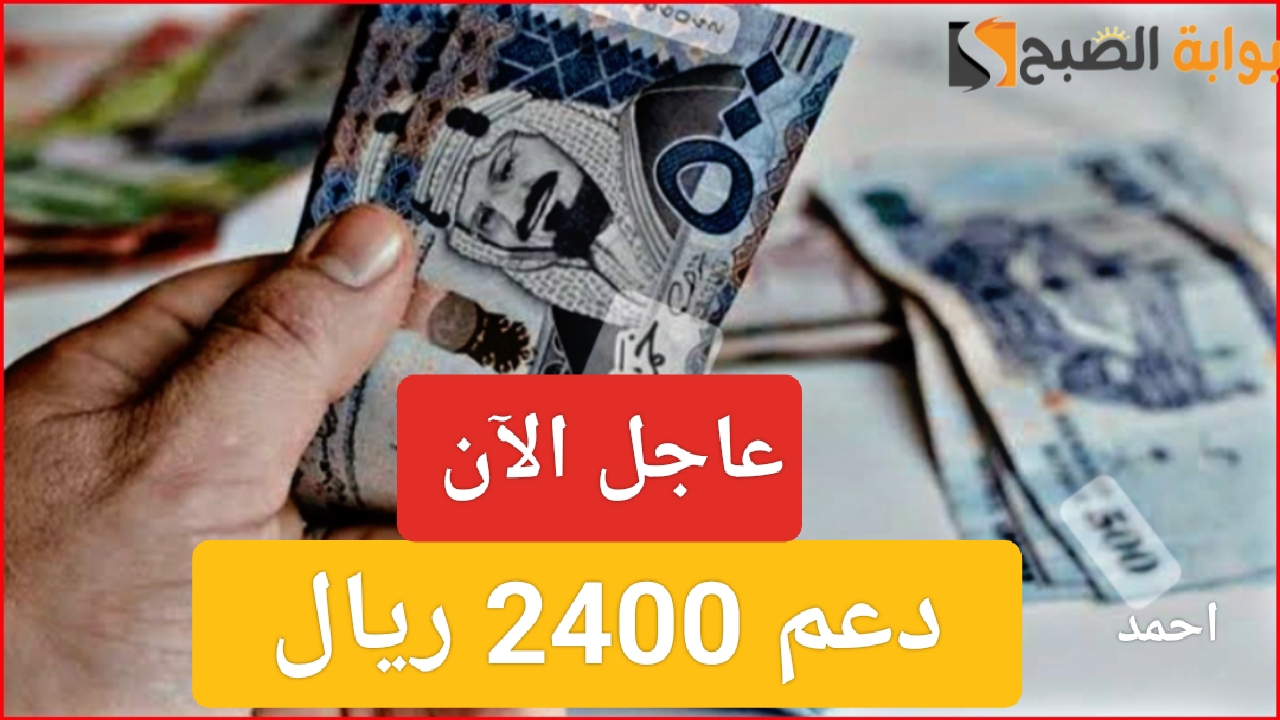 IMG ٢٠٢٤٠٢٠٤ ١٤٠٤٠٩