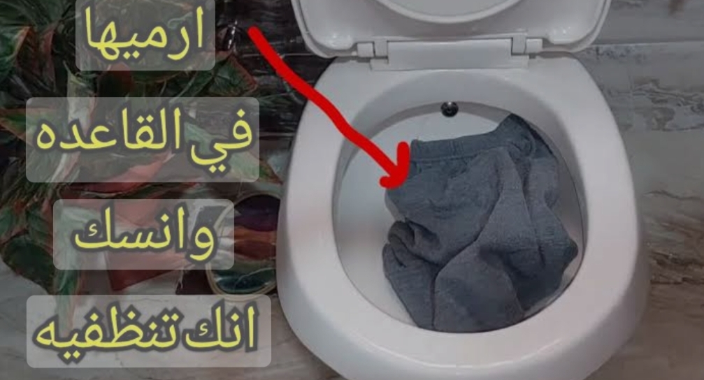 IMG ٢٠٢٤٠٢٠٤ ٢٣٥٦٢١