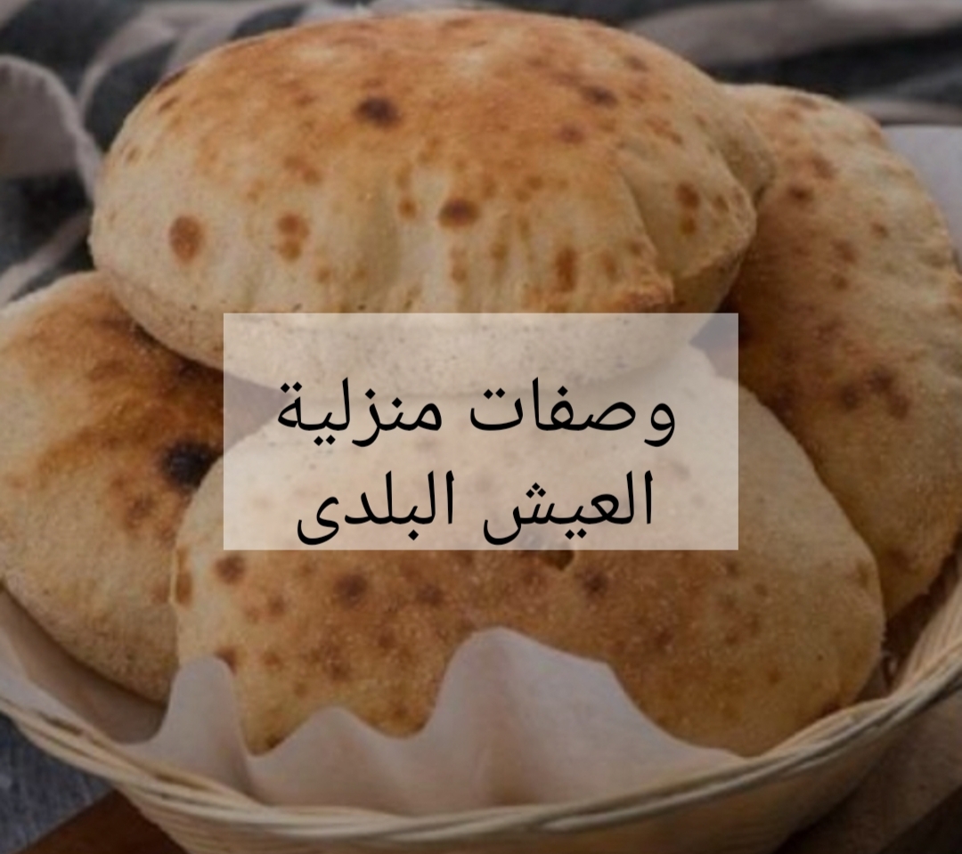 IMG ٢٠٢٤٠٢٠٦ ٢٣٢٤٣٦
