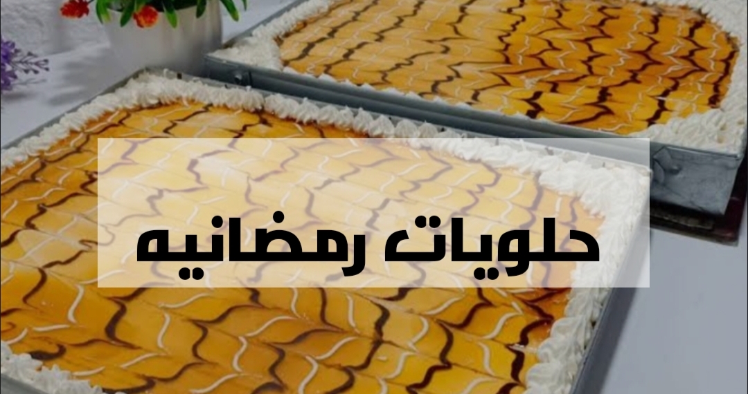 IMG ٢٠٢٤٠٢٠٧ ٢٢٥٩١٧