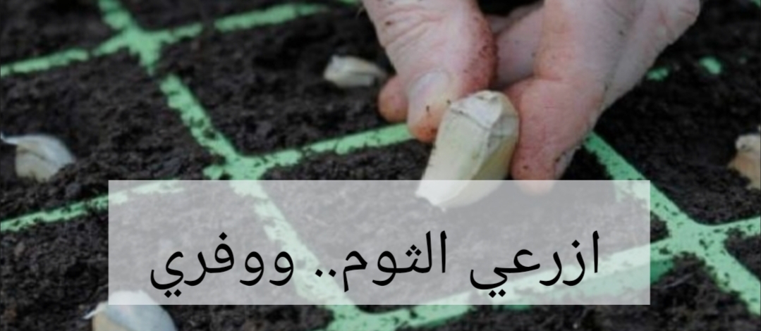 IMG ٢٠٢٤٠٢٠٧ ٢٣٠٠٠٢