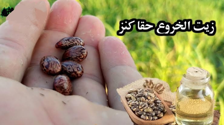 فوائد زيت الخروع
