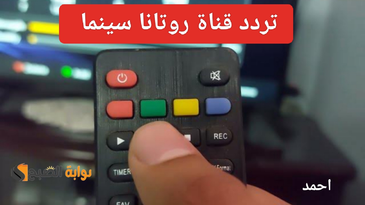 IMG ٢٠٢٤٠٢١١ ١٩٢٥٢١