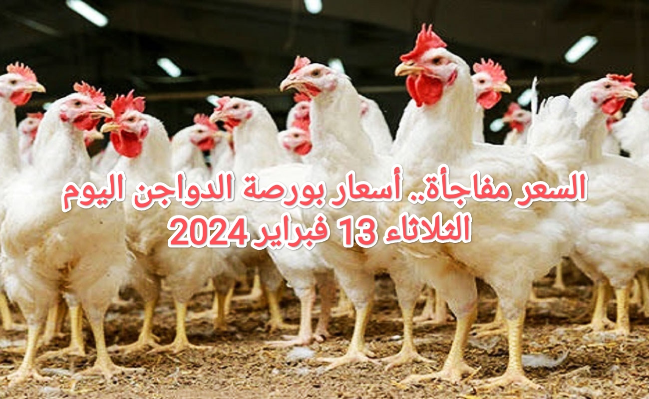 IMG ٢٠٢٤٠٢١٣ ١٠٠٣٠٠