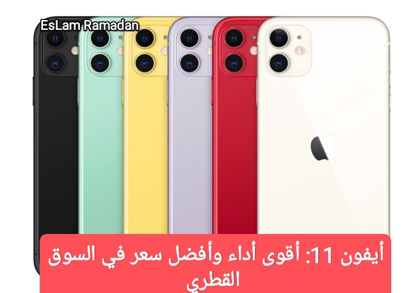 IMG ٢٠٢٤٠٢١٣ ١٥٣٥٠٧