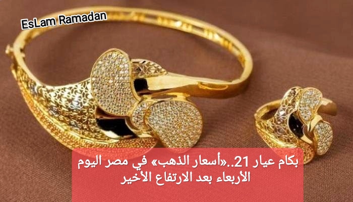 IMG ٢٠٢٤٠٢١٤ ٠١٢٠١٤