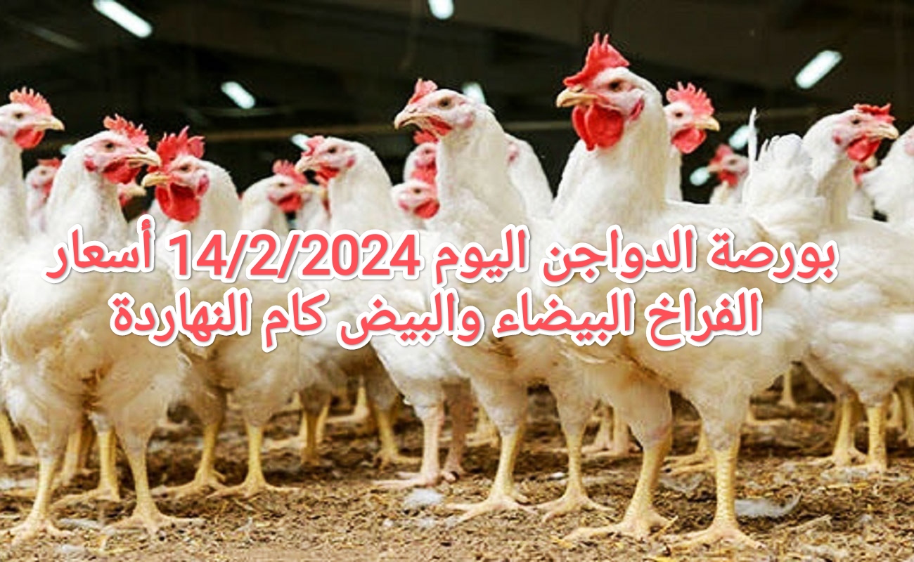 IMG ٢٠٢٤٠٢١٤ ١٠٤٥٤٢