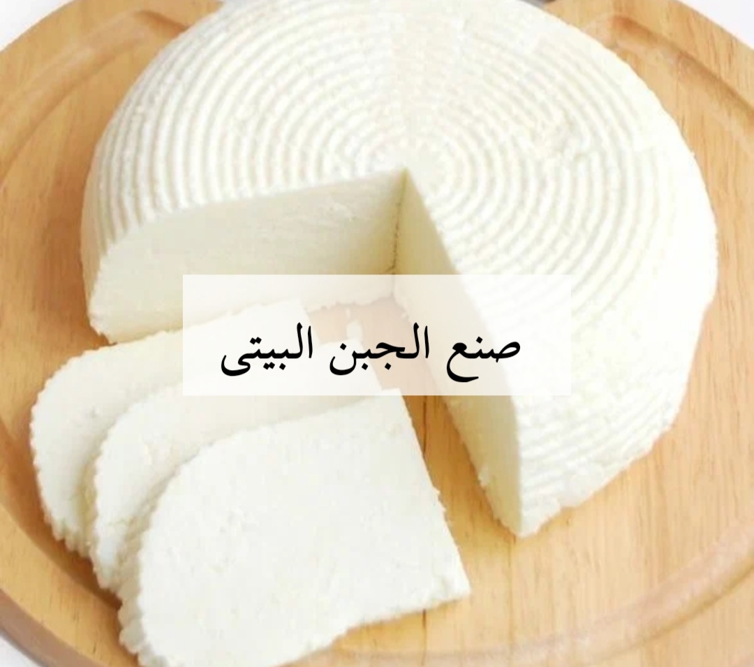 IMG ٢٠٢٤٠٢١٥ ٠١٠٤٤٣