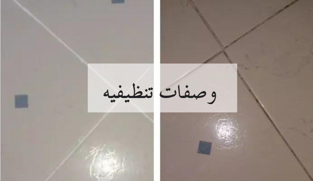 IMG ٢٠٢٤٠٢١٥ ٠١٠٥٥٦ 1