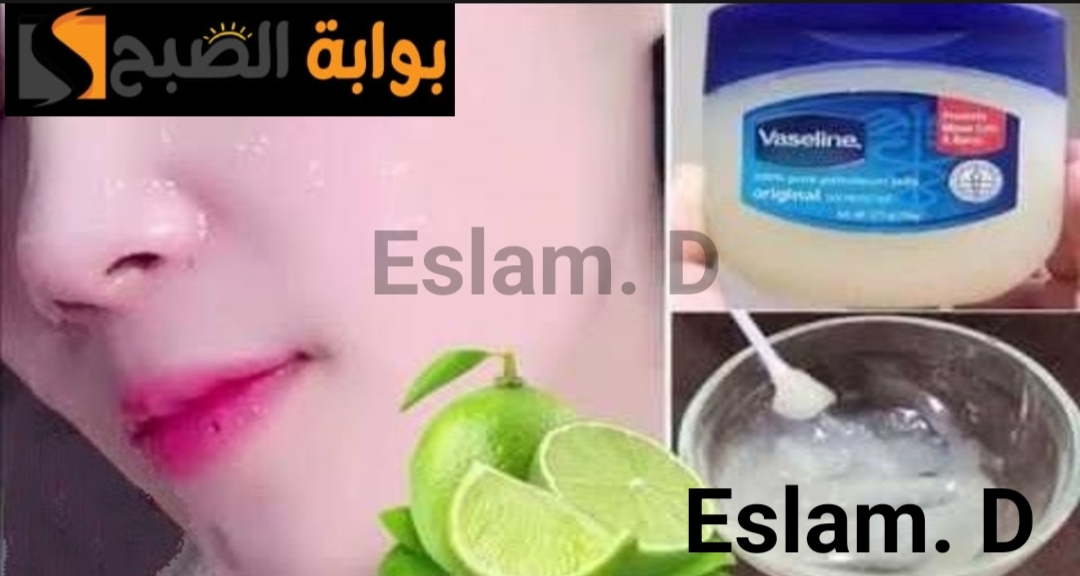 IMG ٢٠٢٤٠٢١٧ ١٠٣٣٥١