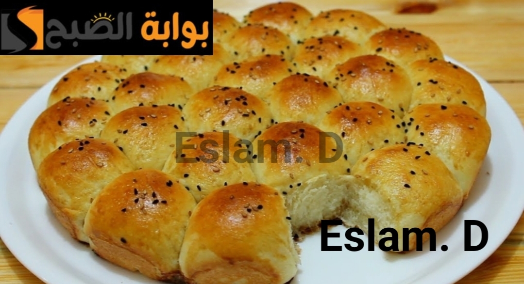 IMG ٢٠٢٤٠٢١٧ ١٠٣٤٠٩