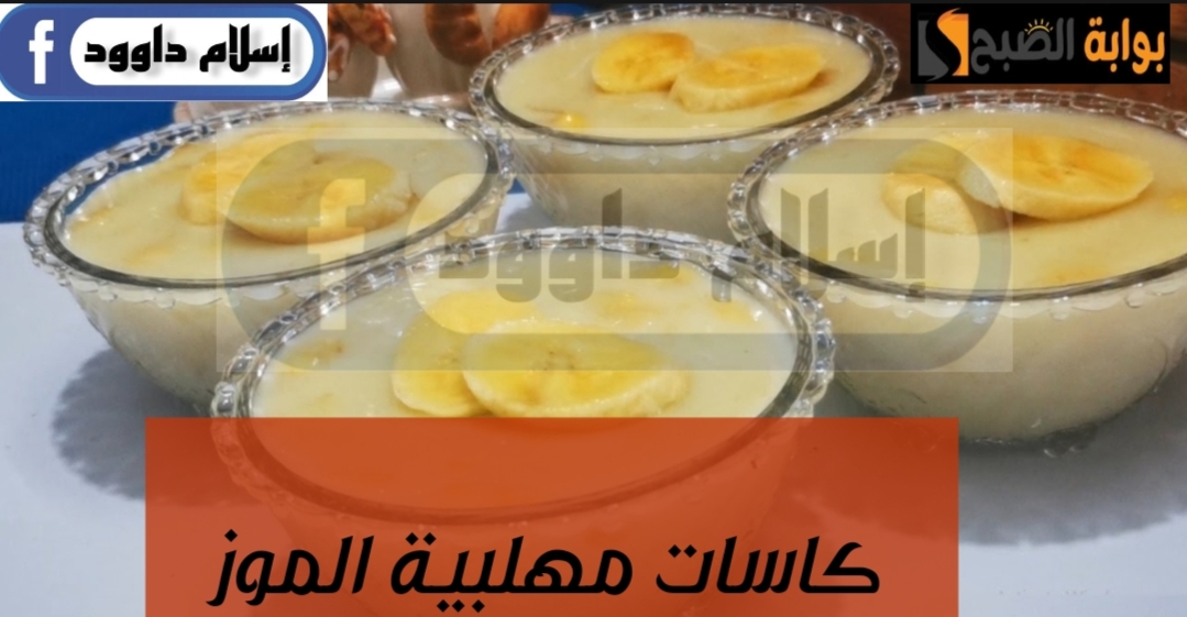 IMG ٢٠٢٤٠٢١٩ ٢٣٠٦٢٩