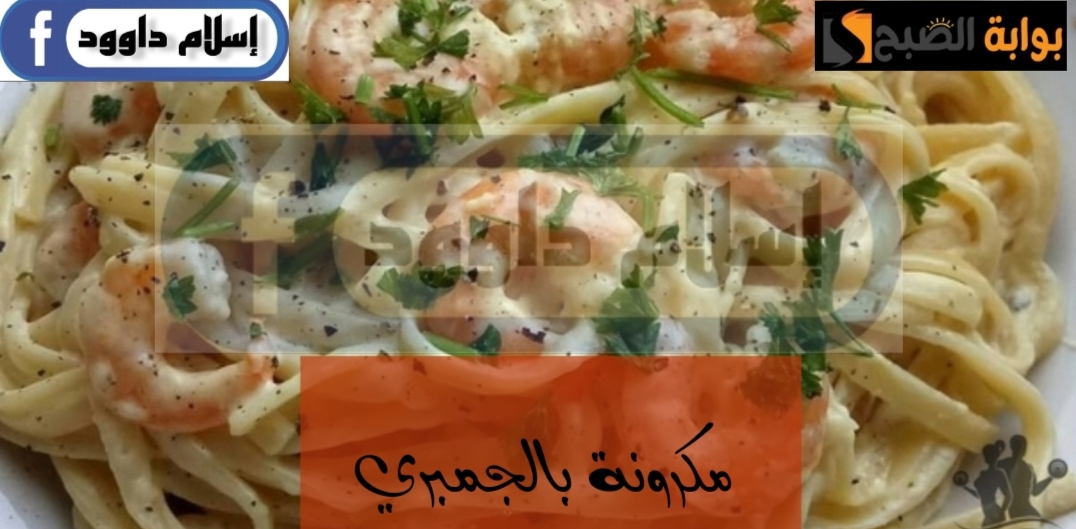 IMG ٢٠٢٤٠٢٢٢ ٠٠٥٠٤٠