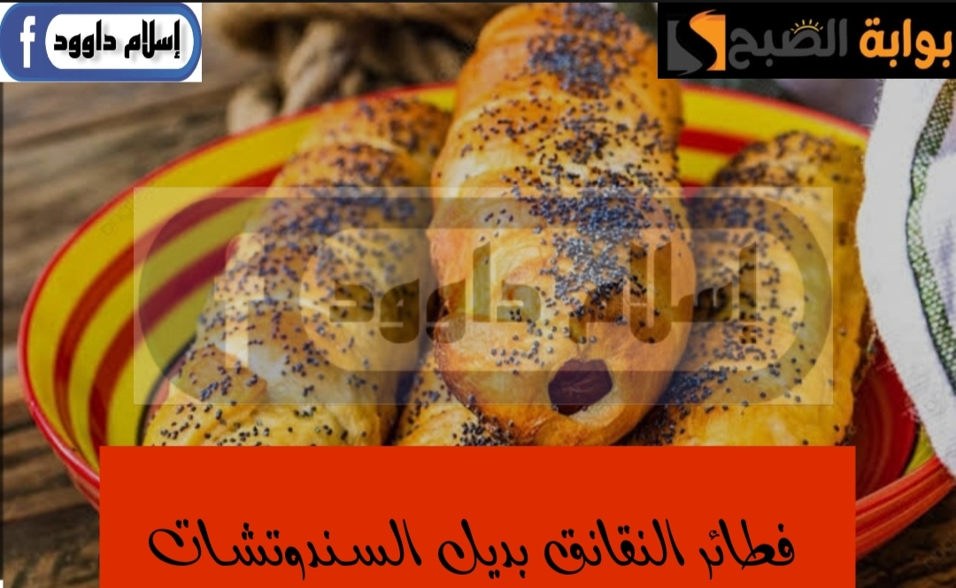 IMG ٢٠٢٤٠٢٢٤ ٠١٠٣٢٥