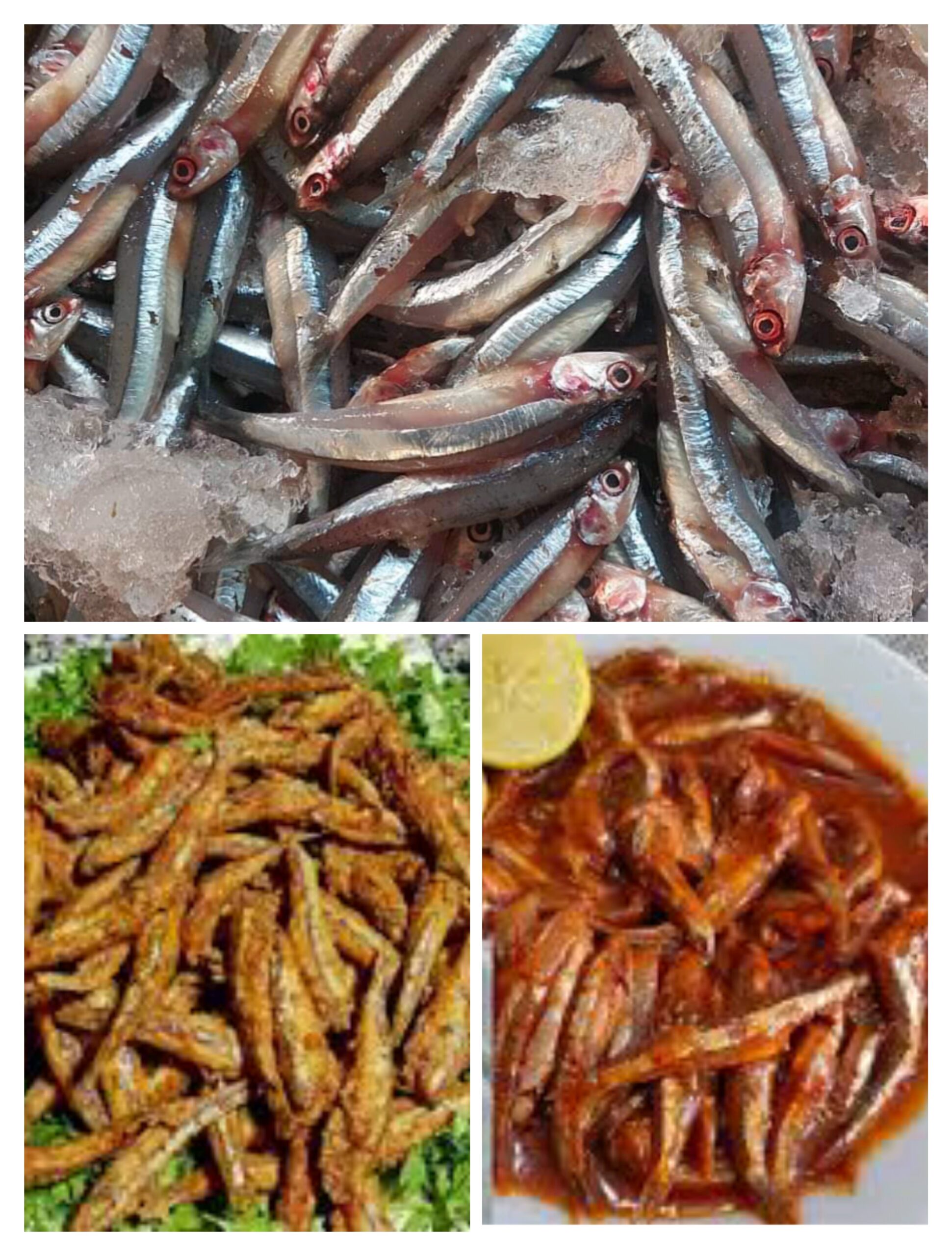 طريقة عمل البساريا