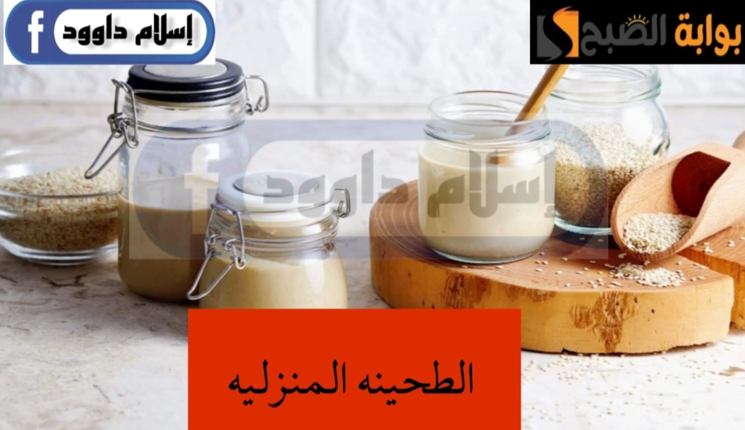 IMG ٢٠٢٤٠٢٢٤ ٠١٣٦٥٩