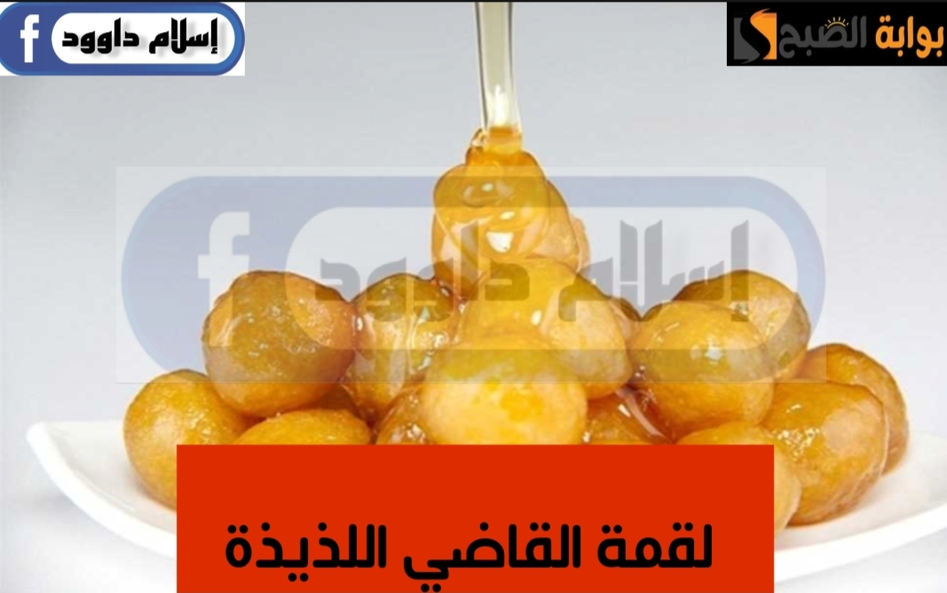IMG ٢٠٢٤٠٢٢٥ ٠٠٥٦٥٨