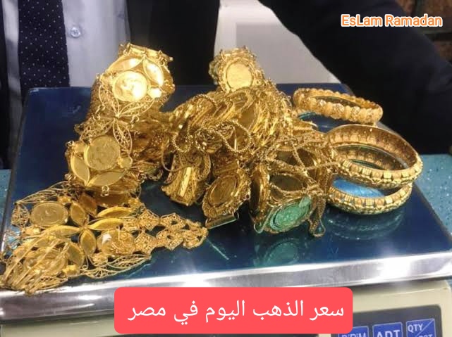 IMG ٢٠٢٤٠٢٢٧ ٠٩٣٣٤٨