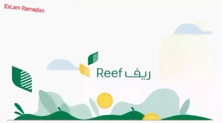 IMG ٢٠٢٤٠٢٢٧ ١٠٣٢١٨