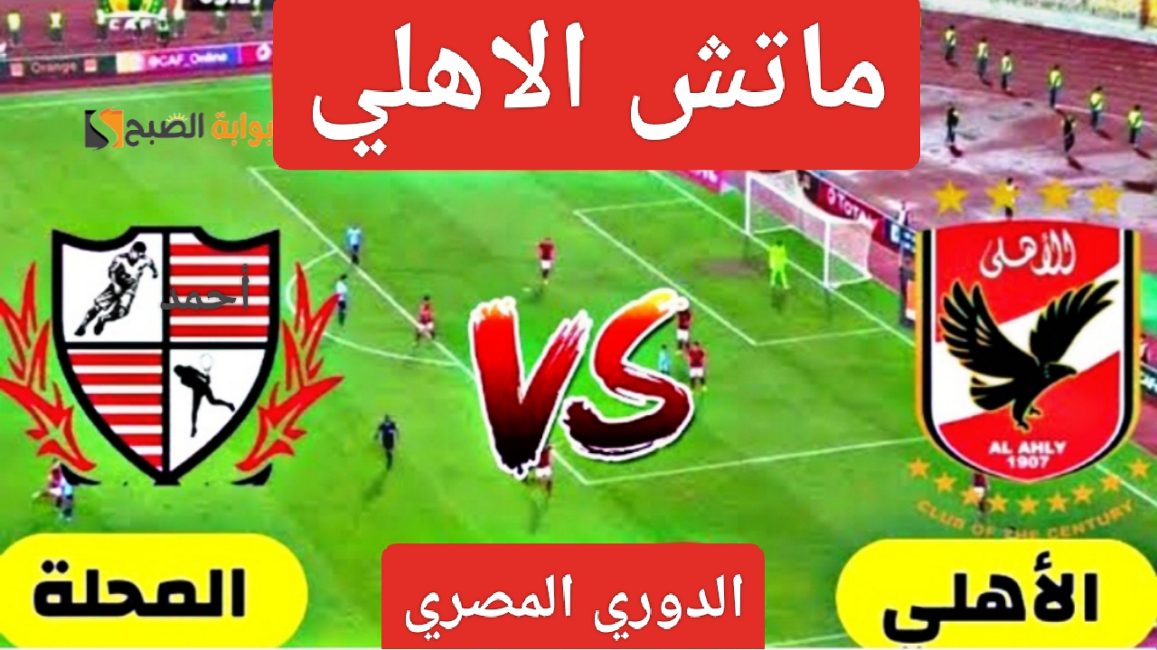 IMG ٢٠٢٤٠٢٢٧ ١٨٣٩٣٧