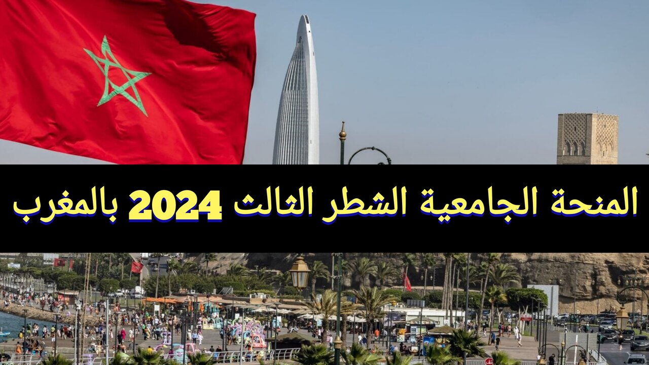 InCollage ٢٠٢٤٠٢١٧ ٠٢٤٠٤٤١٤٦