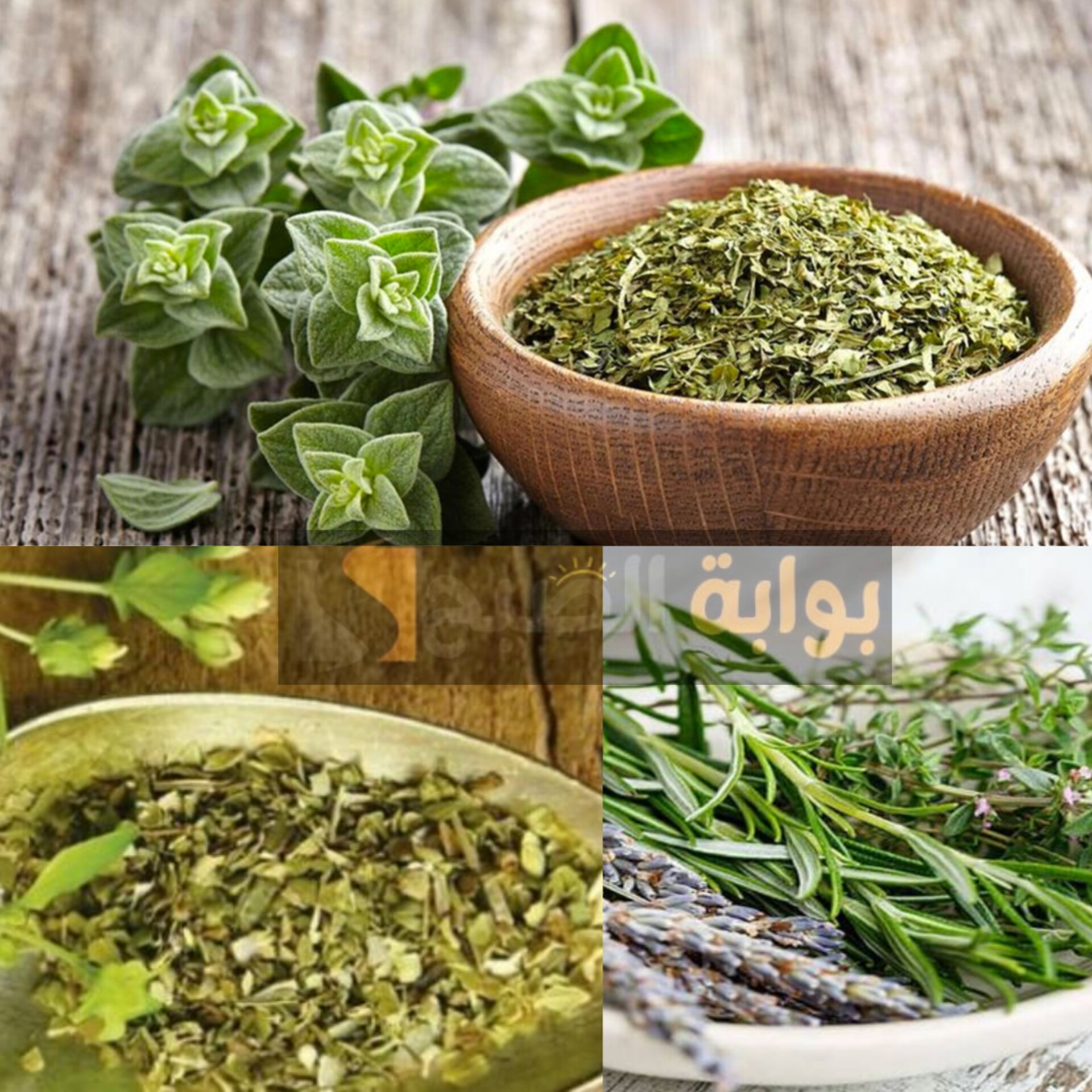 تساقط الشعر وعلاجه بالأعشاب