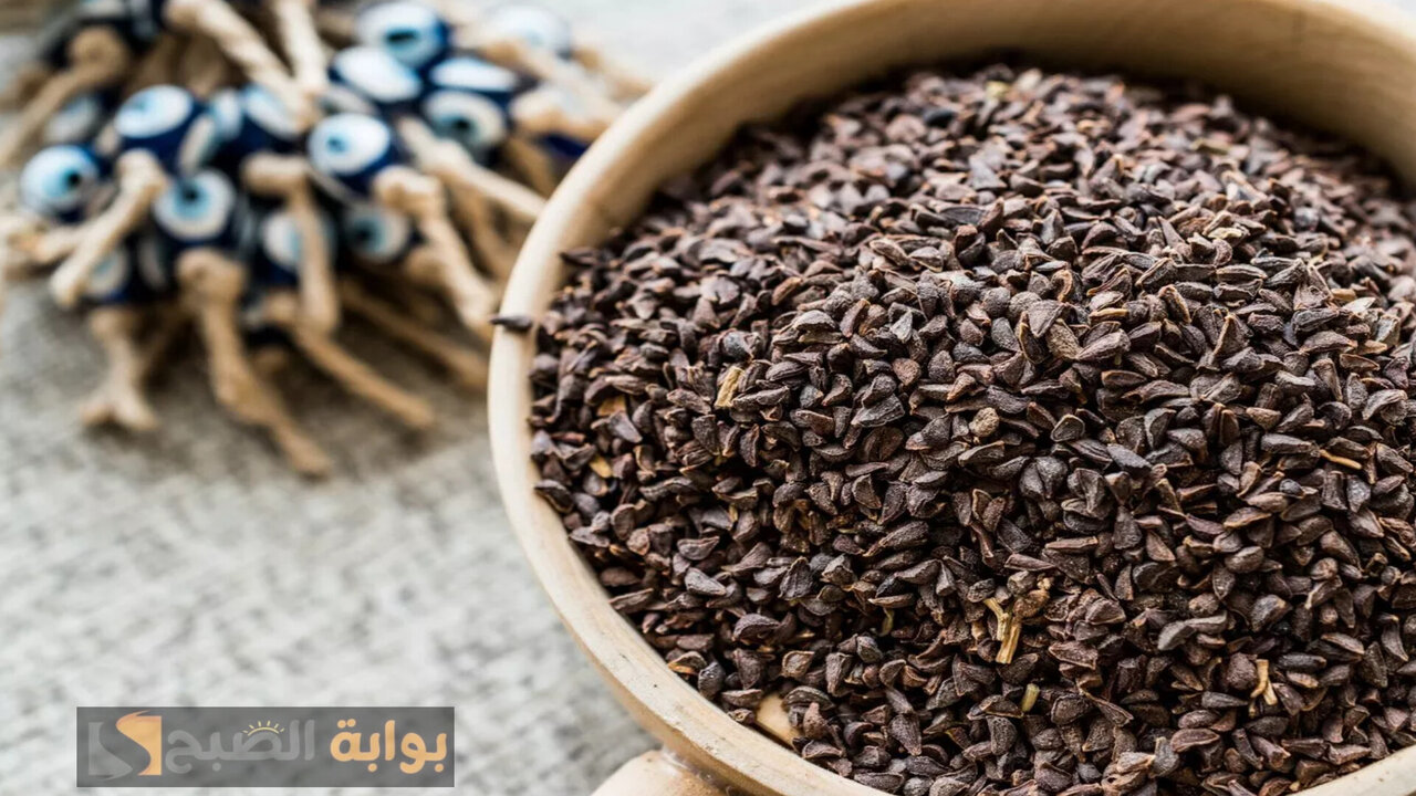 مكافحة حشرات الرأس 