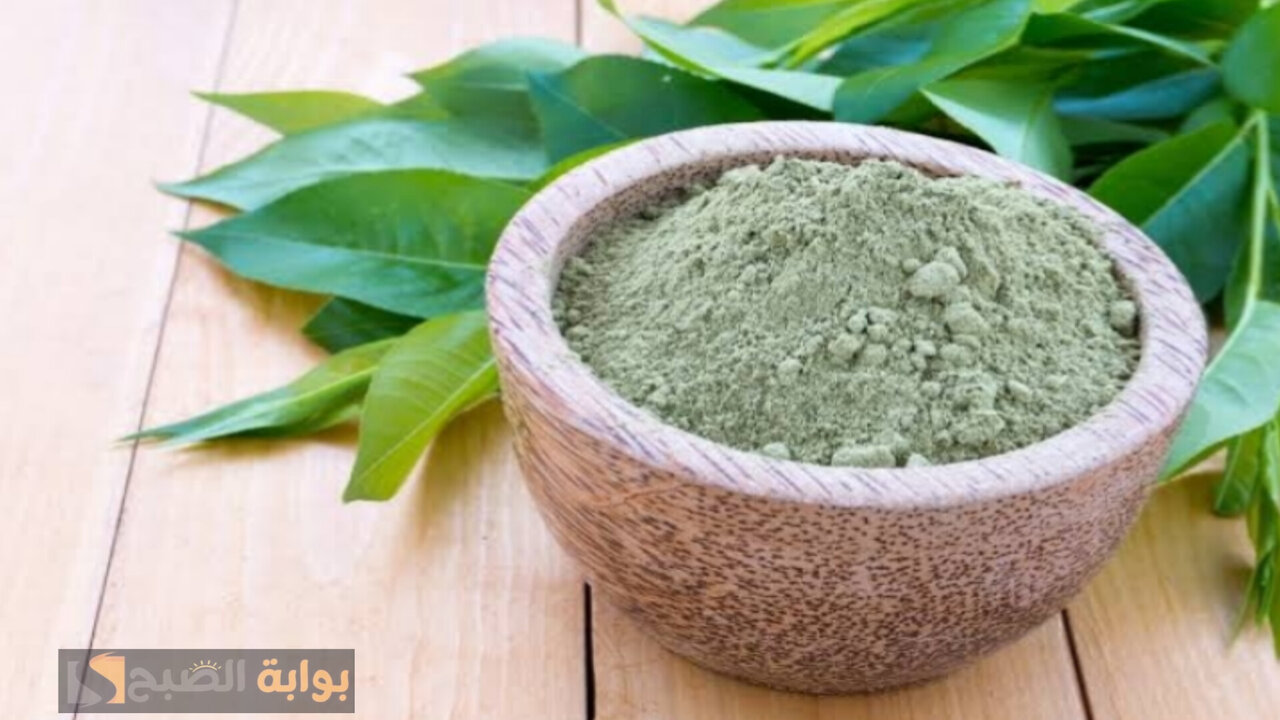 كريم ورق السدر للشعر