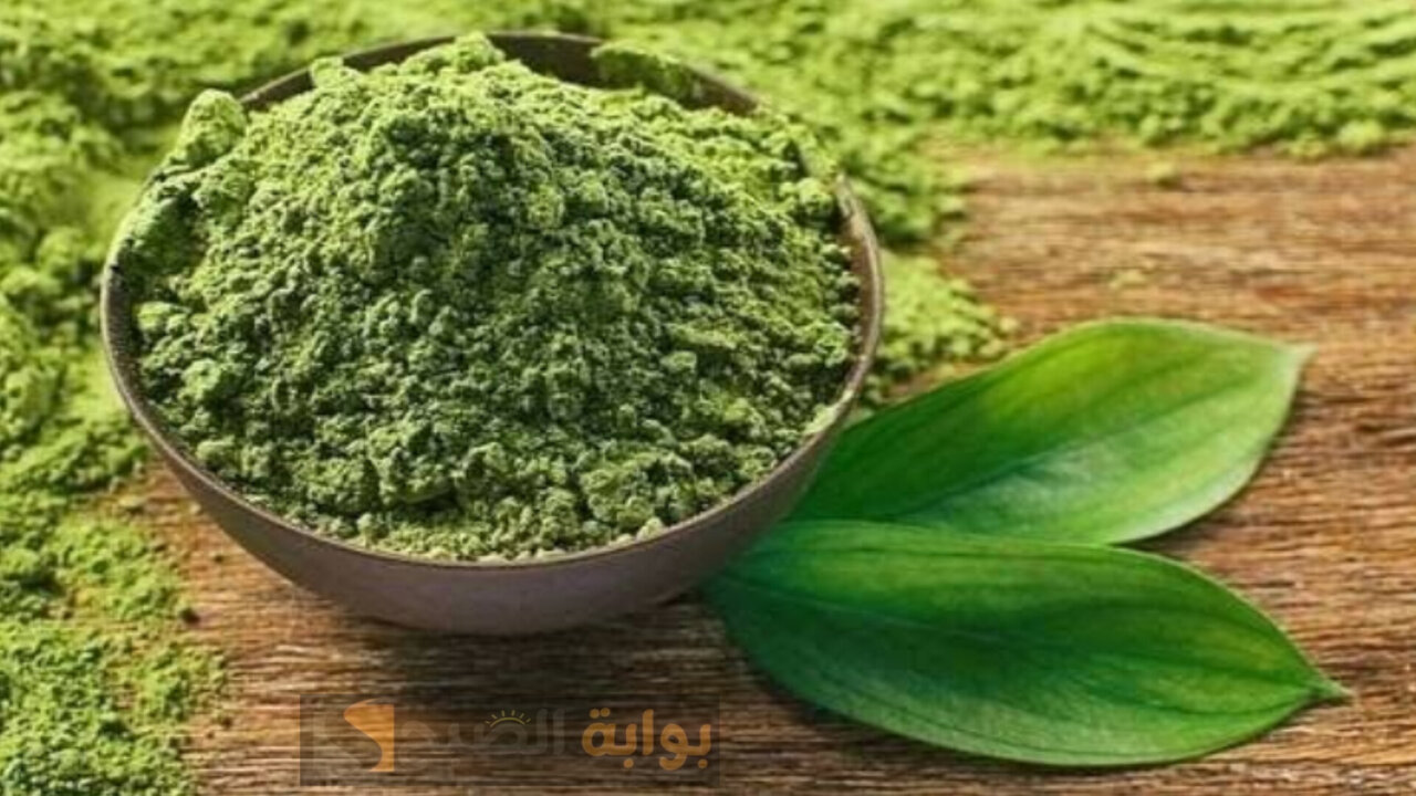 وصفة عشبة الكتم للشيب