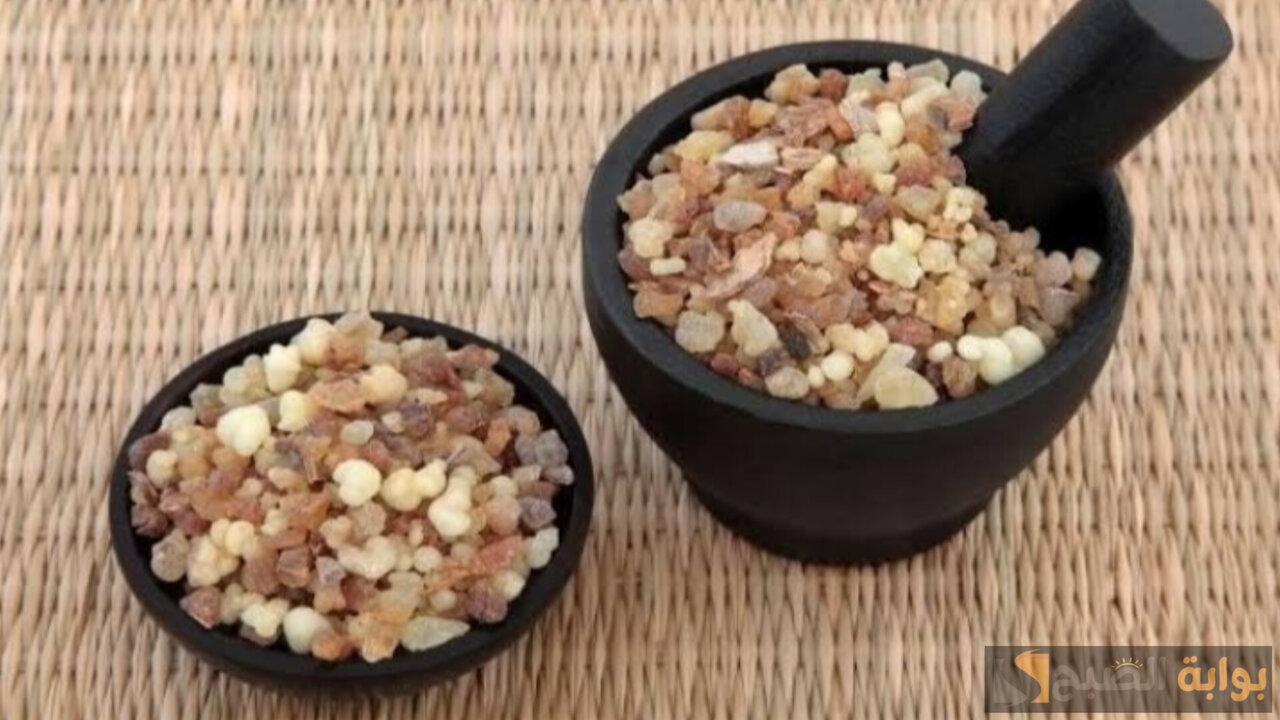 كريم لبان الذكر