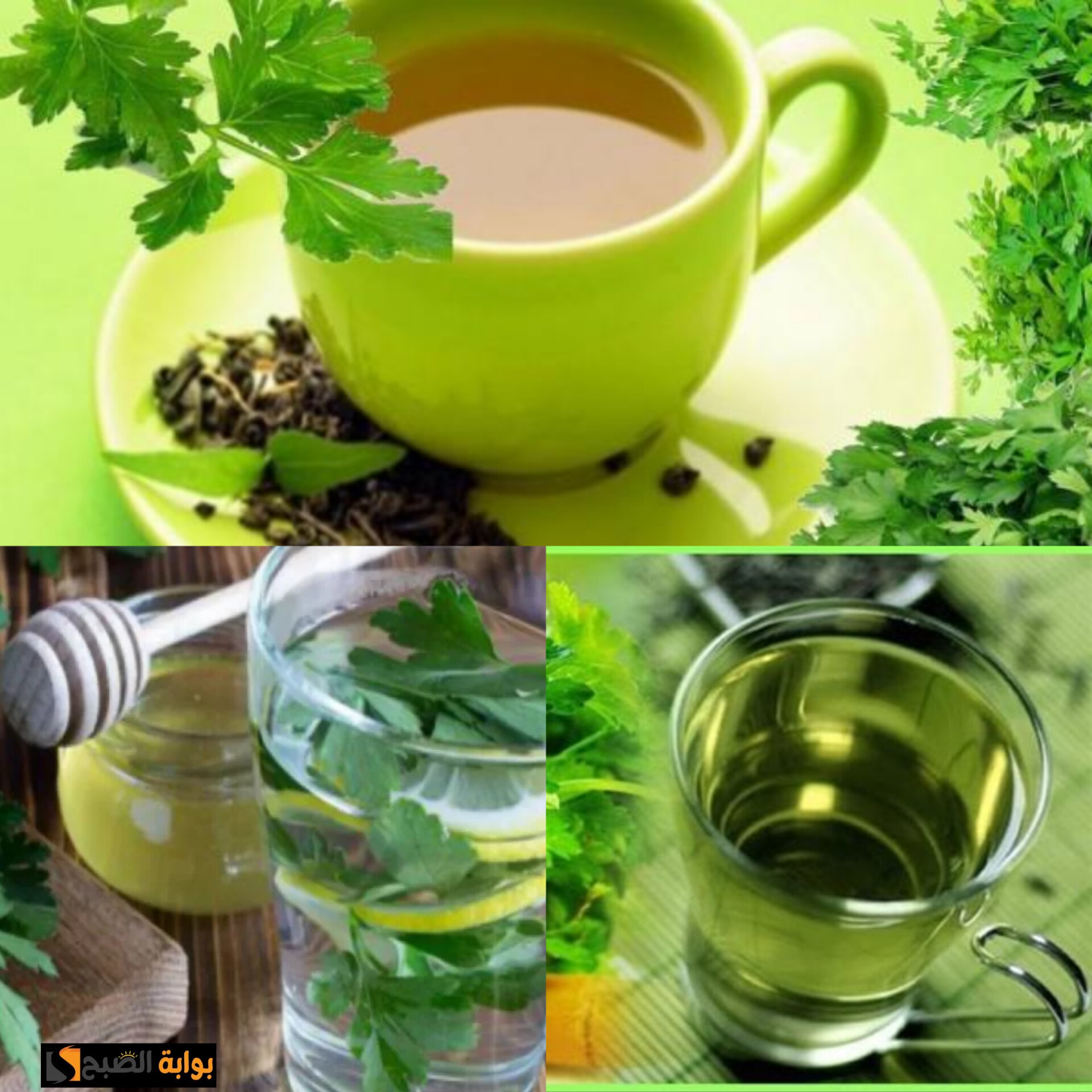 فوائد البقدونس للجسم