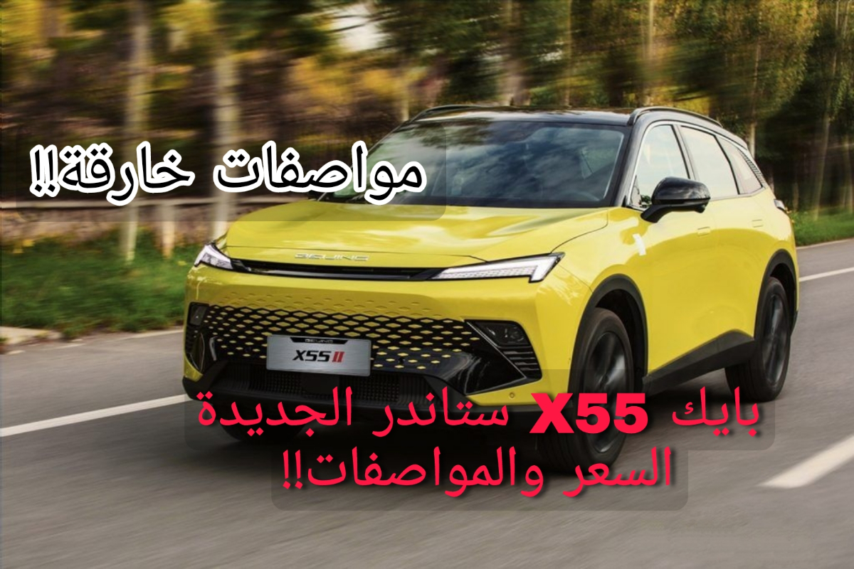 بايك X55 ستاندر 2024