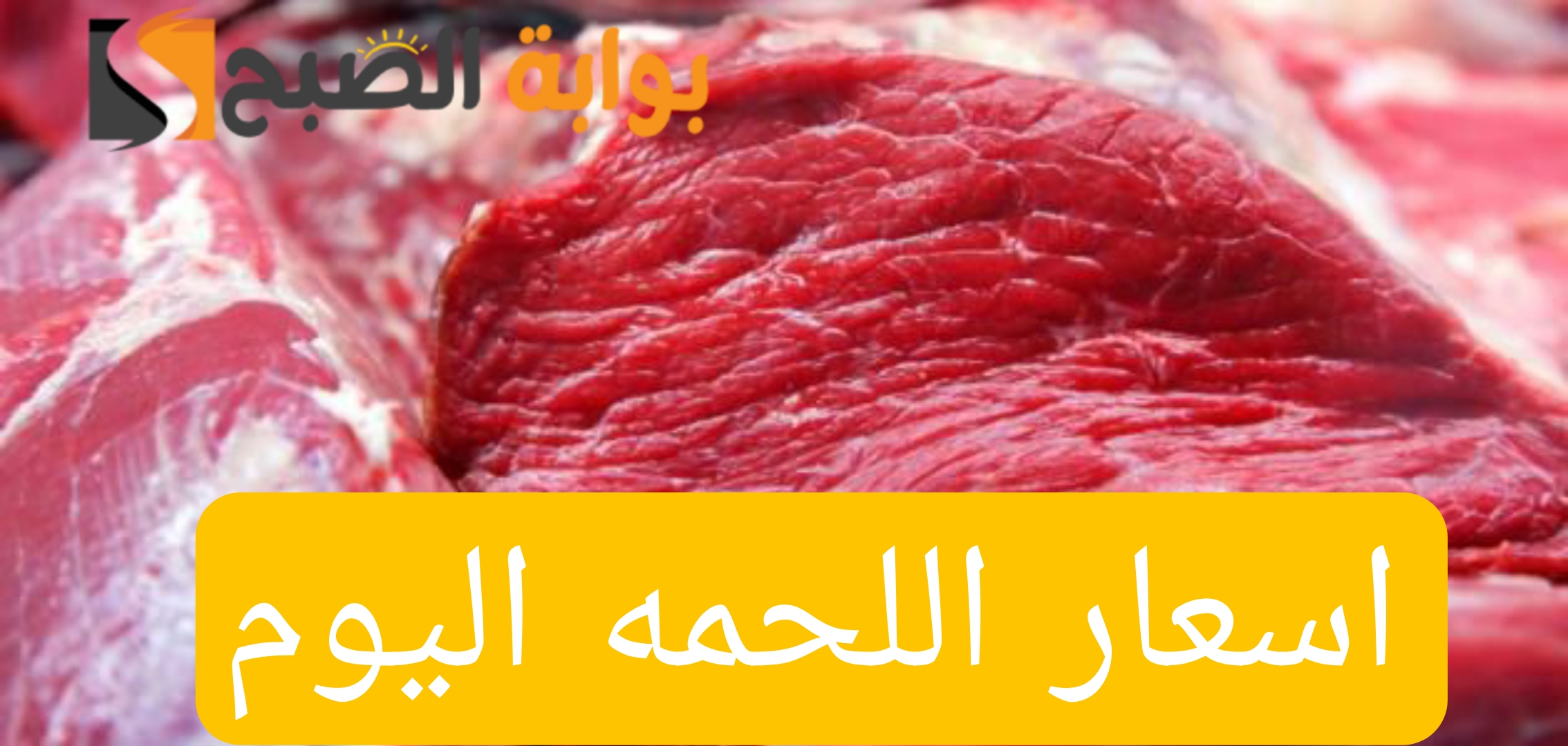 Picsart 24 02 10 15 58 05 774