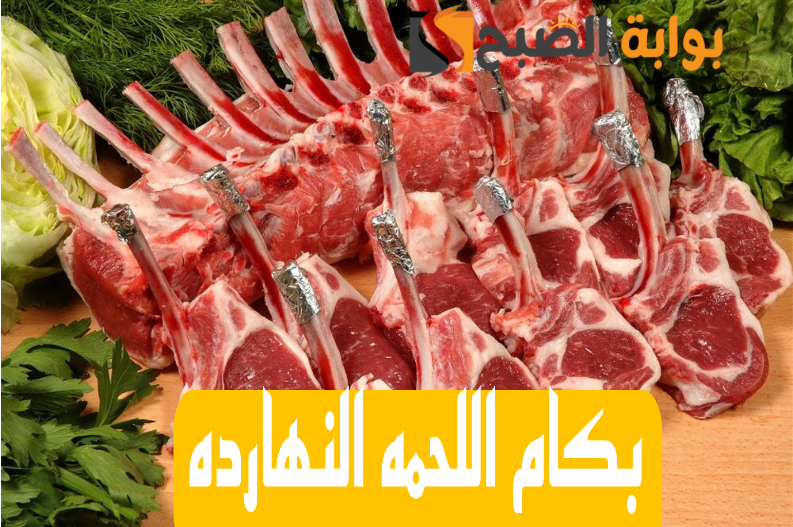 Picsart 24 02 12 14 29 16 190