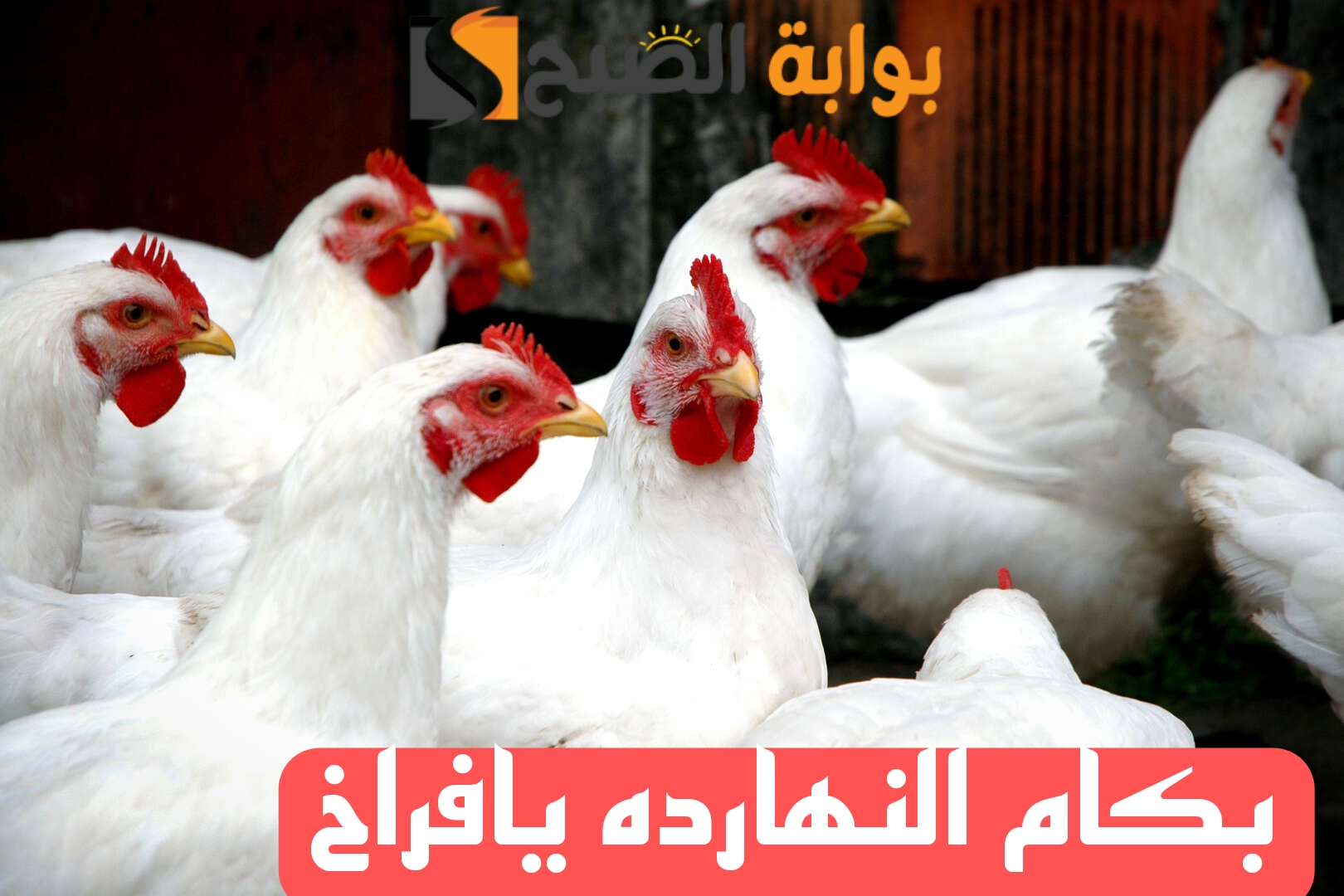 Picsart 24 02 14 11 11 04 618