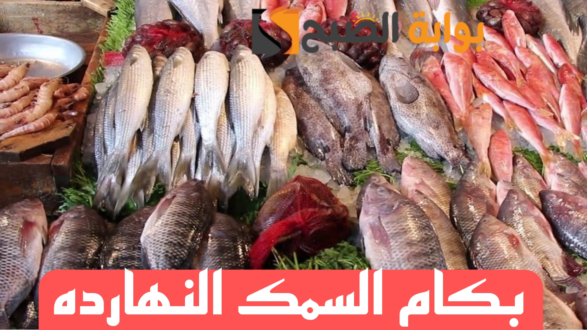 Picsart 24 02 16 12 37 22 562