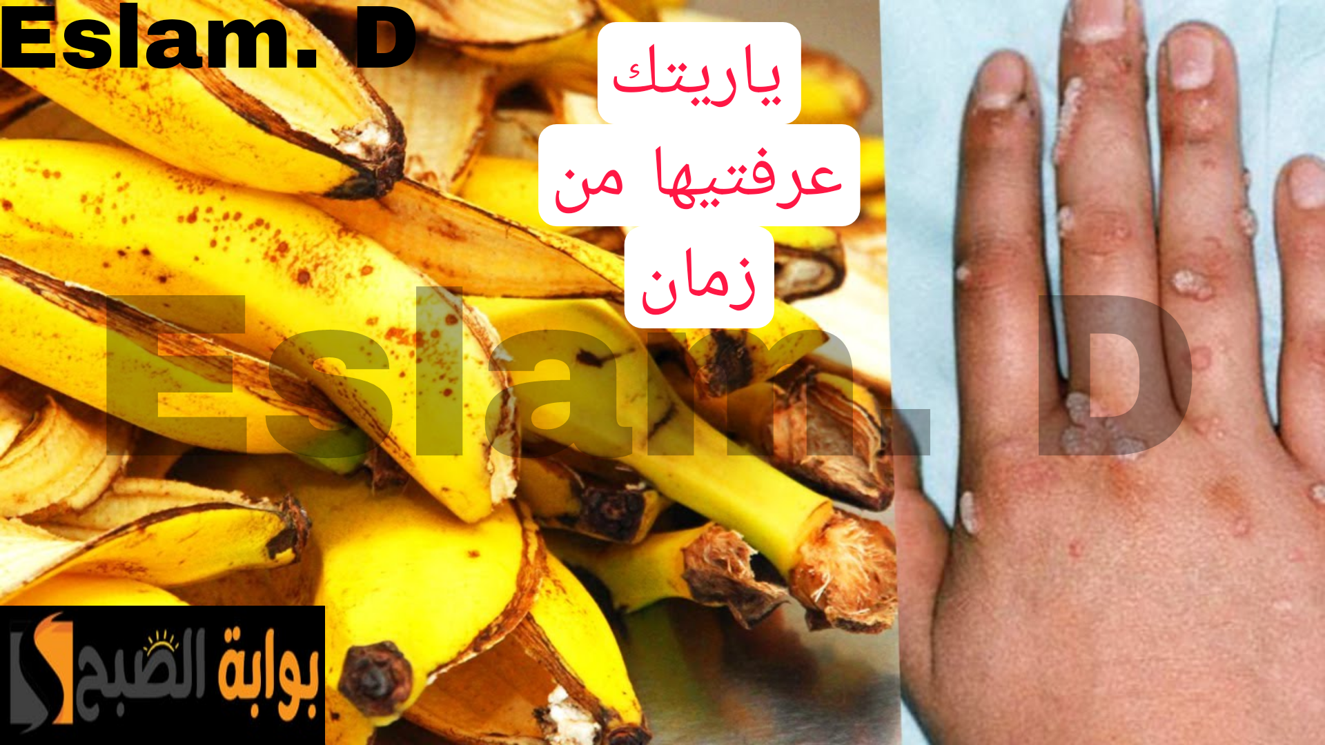 Picsart 24 02 17 00 52 23 098