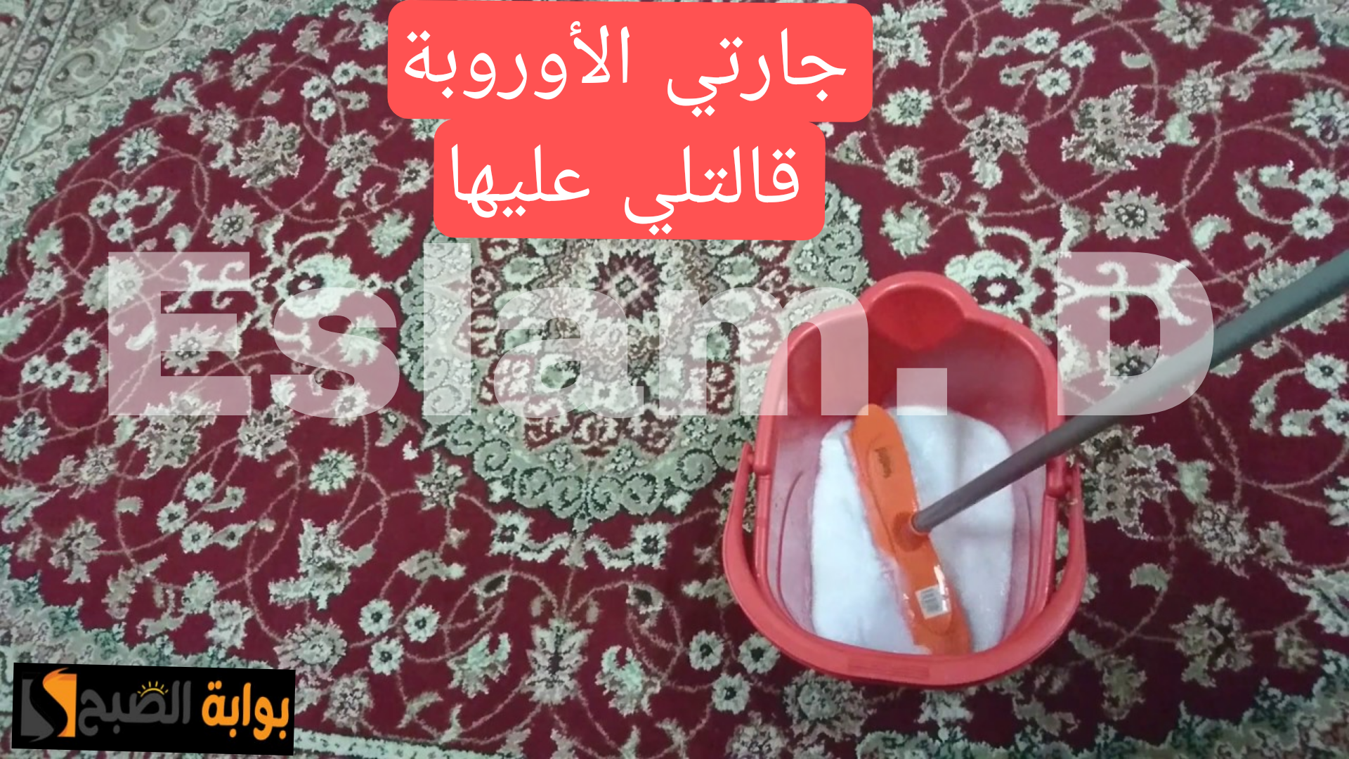 Picsart 24 02 17 01 40 32 830
