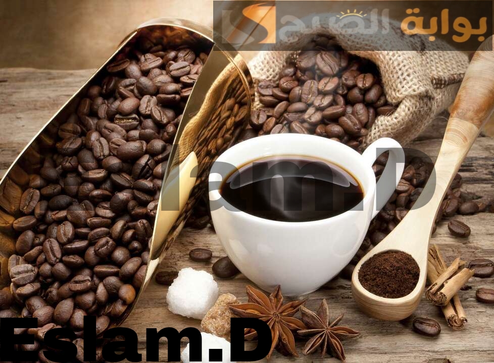 Picsart 24 02 17 23 14 01 558