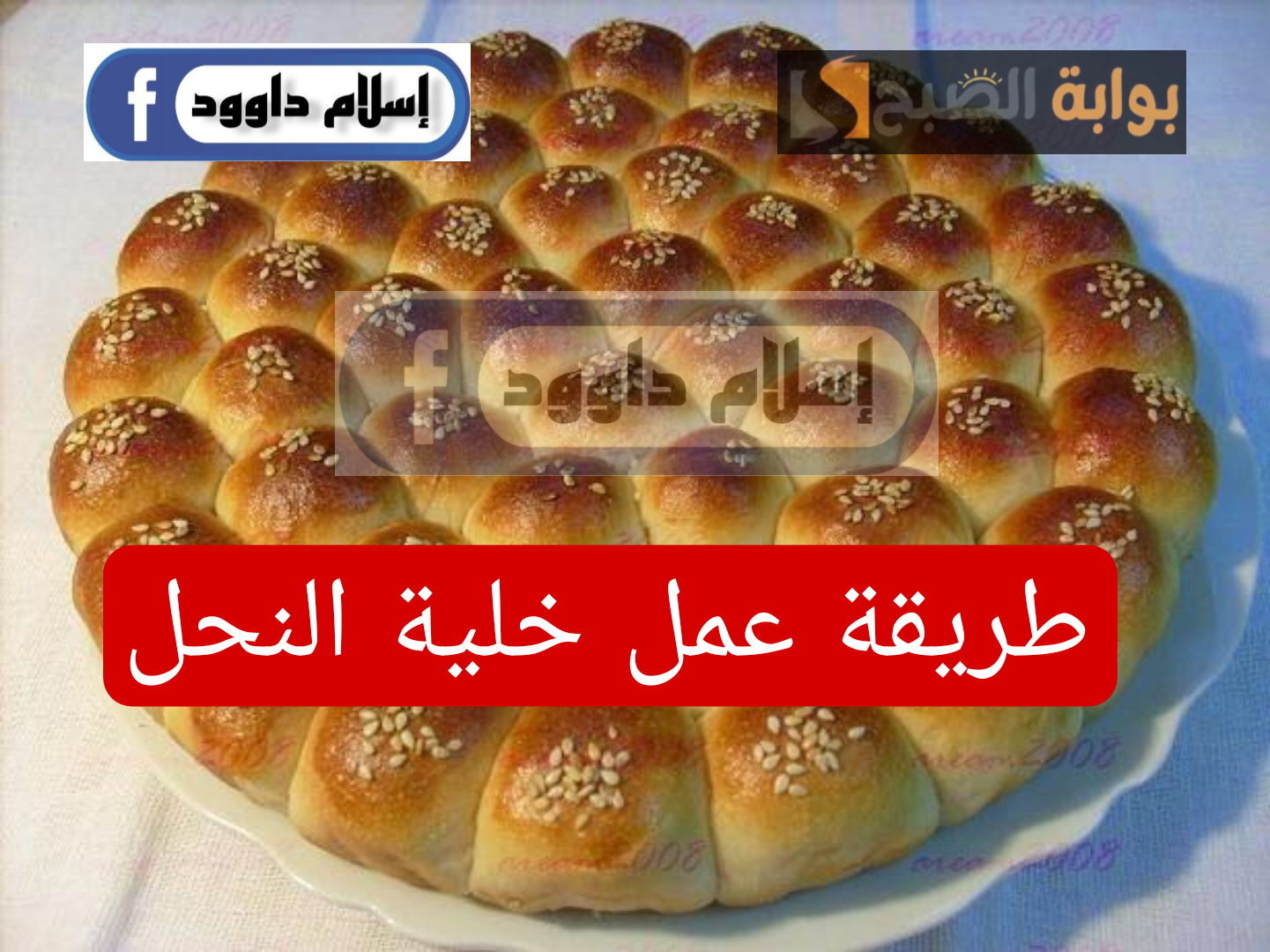Picsart 24 02 18 22 45 02 050