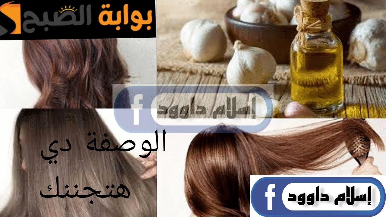 Picsart 24 02 19 00 19 09 102