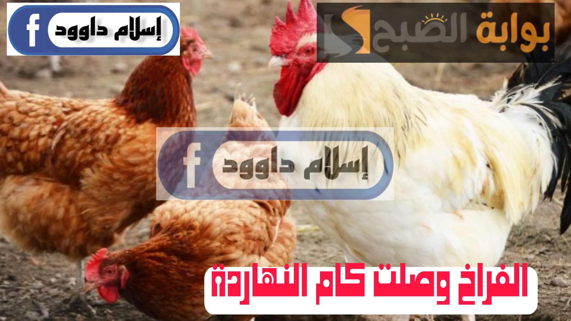 Picsart 24 02 19 11 18 51 163
